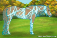 Horse Color:Thunderstruck Chestnut 
