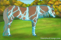 Horse Color:Thunderstruck Chestnut