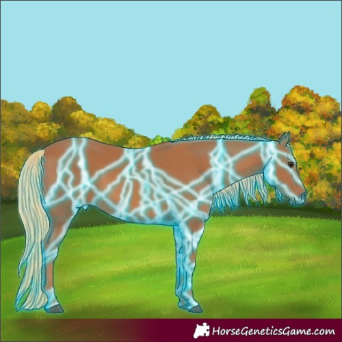 Horse Color:Thunderstruck Chestnut
