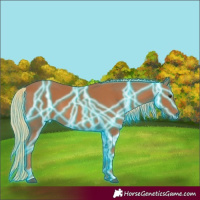 Horse Color:Thunderstruck Chestnut 