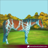 Horse Color:Thunderstruck Bay 