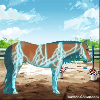 Horse Color:Thunderstruck Bay 