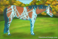 Horse Color:Thunderstruck Bay 