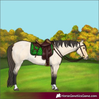 Horse Color:Buckskin Roan Dun 