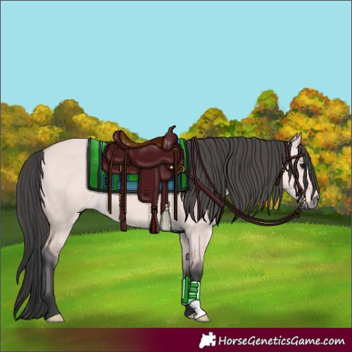 Horse Color:Platinum Bay Dun 