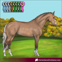 Horse Color:Silver Brown Dun Rabicano 