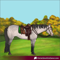 Horse Color:Platinum Bay Dun
