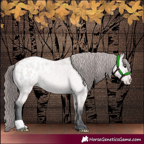 Horse Color:Platinum Bay Dun Blanket 