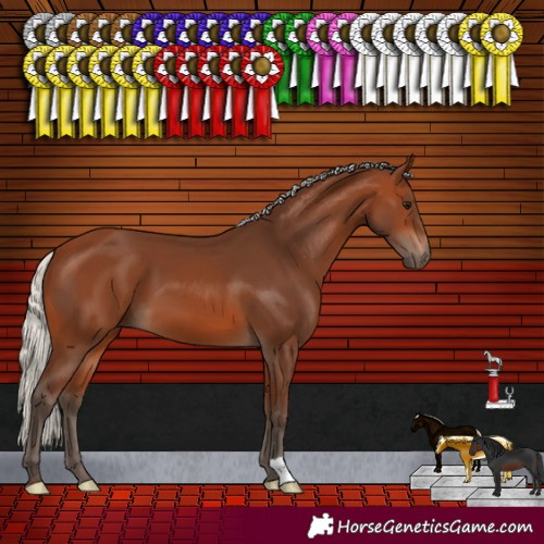 Horse Color:Silver Brown 