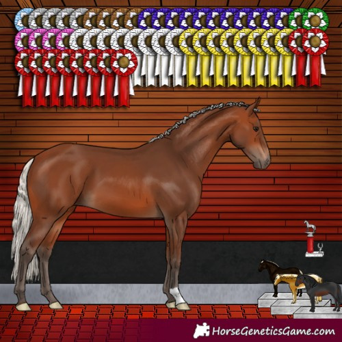 Horse Color:Silver Brown 