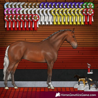 Horse Color:Silver Brown 