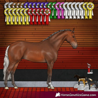 Horse Color:Silver Brown