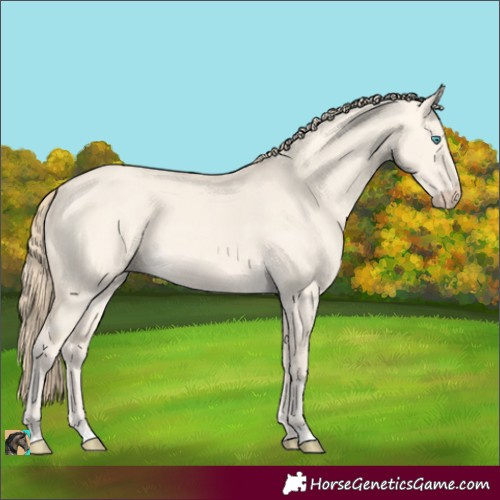 Horse Color:Perlino Dun 