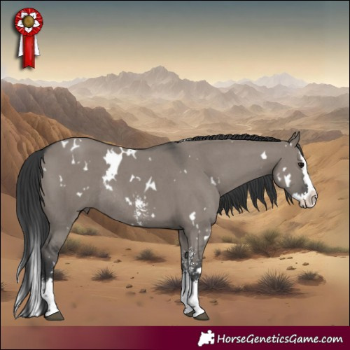 Horse Color:White Spotted Grullo Sabino Splash Rabicano 