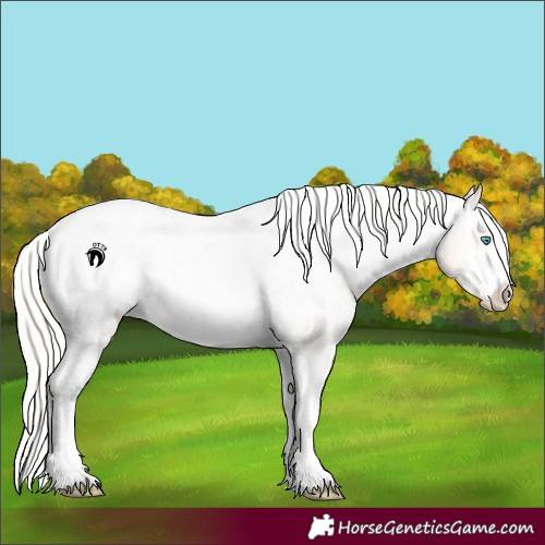 Horse Color:White Spotted Silver Smoky Black Pearl Appaloosa 