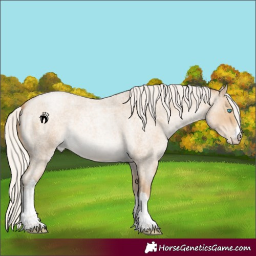 Horse Color:White Spotted Silver Smoky Blue Roan Pearl 