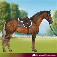 Horse Color:Chocolate Palomino 