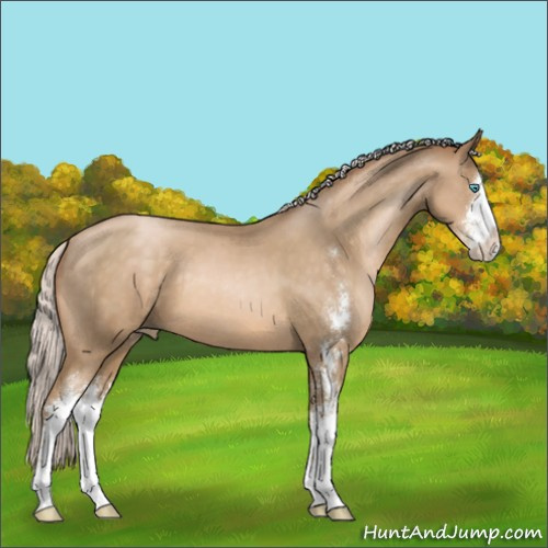 Horse Color:Silver Buckskin Pearl Sabino