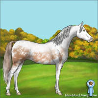 Horse Color:Brown Pearl Sabino