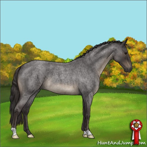 Horse Color:Smoky Blue Roan 