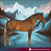 Horse Color:Chocolate Palomino 