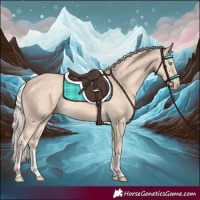 Horse Color:Cremello 