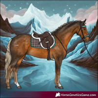 Horse Color:Chocolate Palomino 