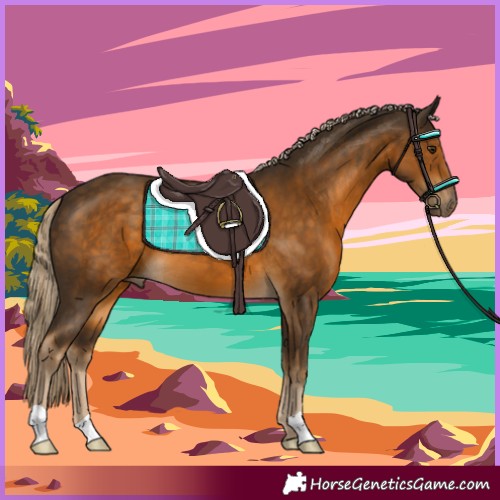 Horse Color:Chocolate Palomino 