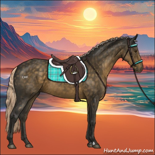 Horse Color:Chocolate Palomino 
