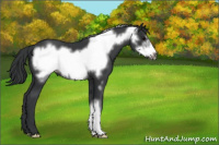 Horse Color:Black Frame 