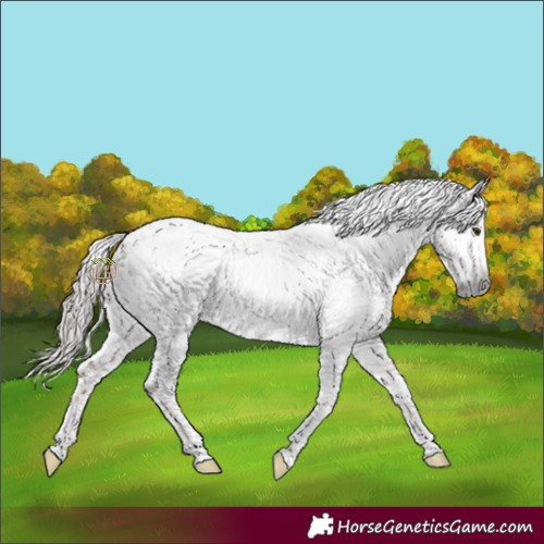 Horse Color:Gray Chestnut Tobiano Snowflake Varnish