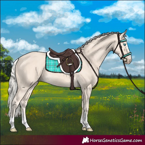 Horse Color:Cremello 