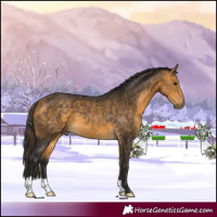 Horse Color:Buckskin 