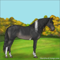 Horse Color:Black Tobiano Rabicano 