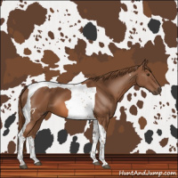Horse Color:Chestnut Tobiano 