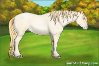 Horse Color:Buckskin Roan Pearl  and Buckskin Roan Pearl 