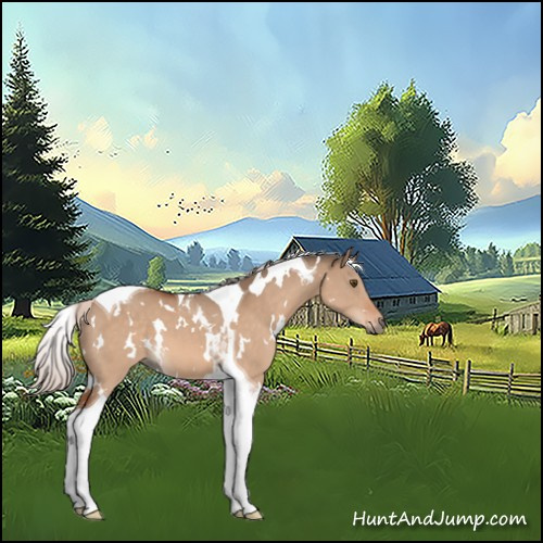 Horse Color:White Spotted Silver Bay Dun Tobiano 