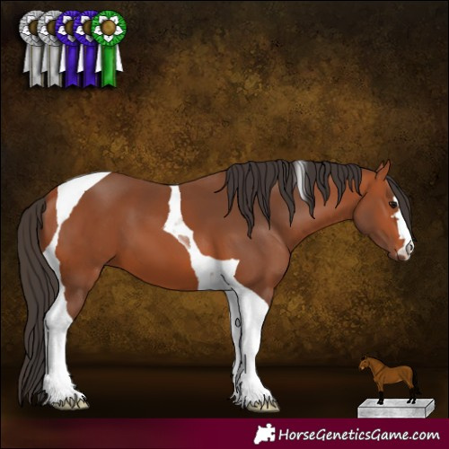 Horse Color:Bay Tobiano 
