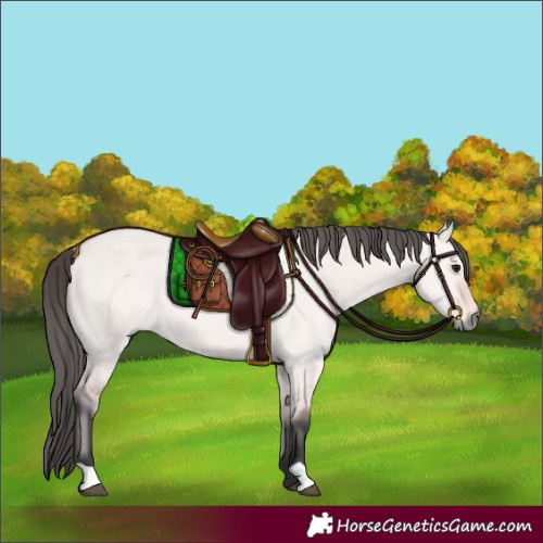 Horse Color:Platinum Bay Dun 