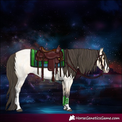 Horse Color:Buckskin Roan Dun Sabino 