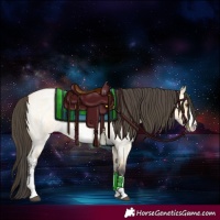 Horse Color:Buckskin Roan Dun Sabino 