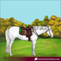 Horse Color:Platinum Perlino Roan Dun 