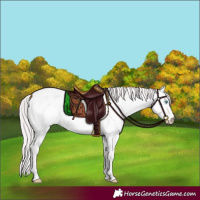 Horse Color:Platinum Perlino Roan Dun 