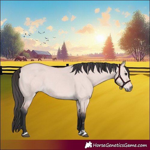 Horse Color:Platinum Bay Dun 