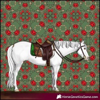 Horse Color:Platinum Buckskin Dun Splash Leopard 