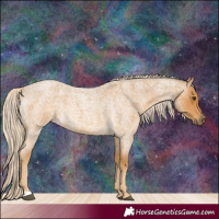 Horse Color:Palomino Roan 