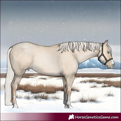 Horse Color:Silver Smoky Grullo Pearl Sabino 