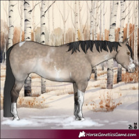 Horse Color:Brown Dun Sabino Tobiano Rabicano