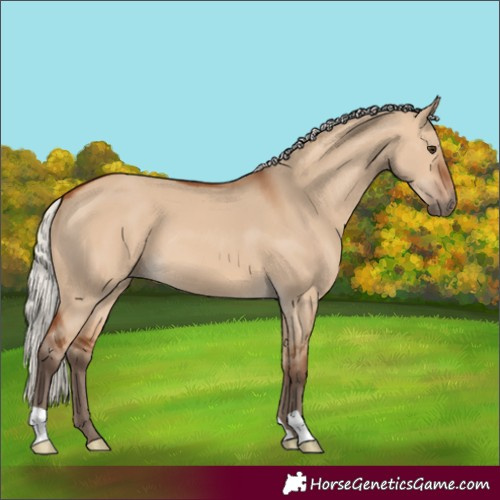 Horse Color:Silver Bay Dun 