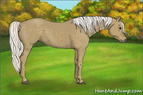 Horse Color:Silver Smoky Black 